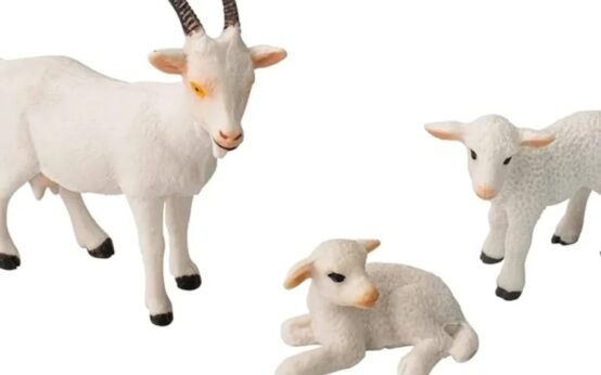 White Coza Animal